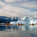 A Beginner's Guide to Using Kayak for Flight Bookings