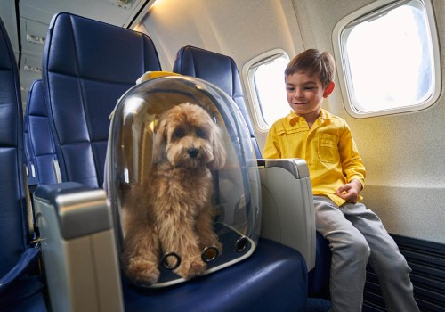 Traveling with Pets: Tips for Booking Flights and Finding Deals
